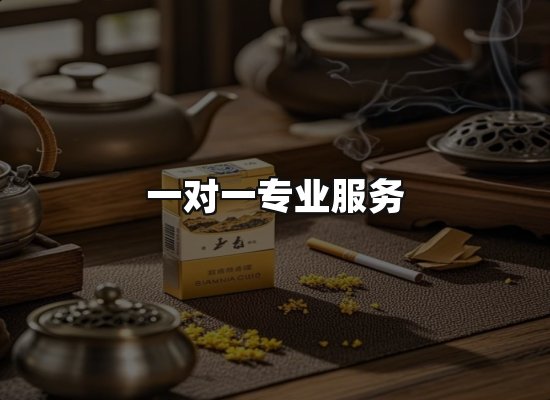 专业优势